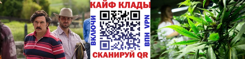 Виды наркотиков купить Шумиха APVP  Меф  Амфетамин  Каннабис  Галлюциногенные грибы  Гашиш 