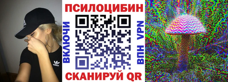 Псилоцибиновые грибы Psilocybe  Шумиха 